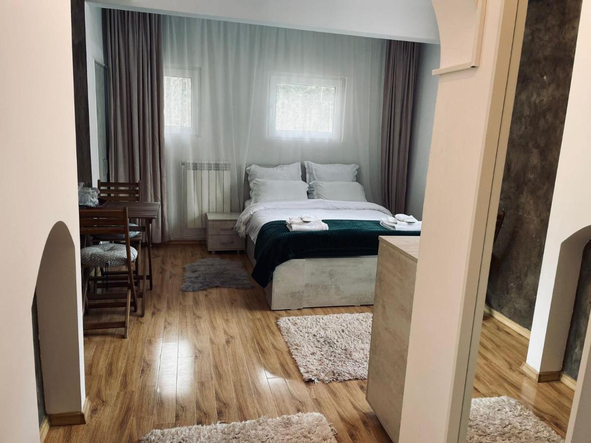 Studio Poema Ultracentral Sinaia - Hizvo