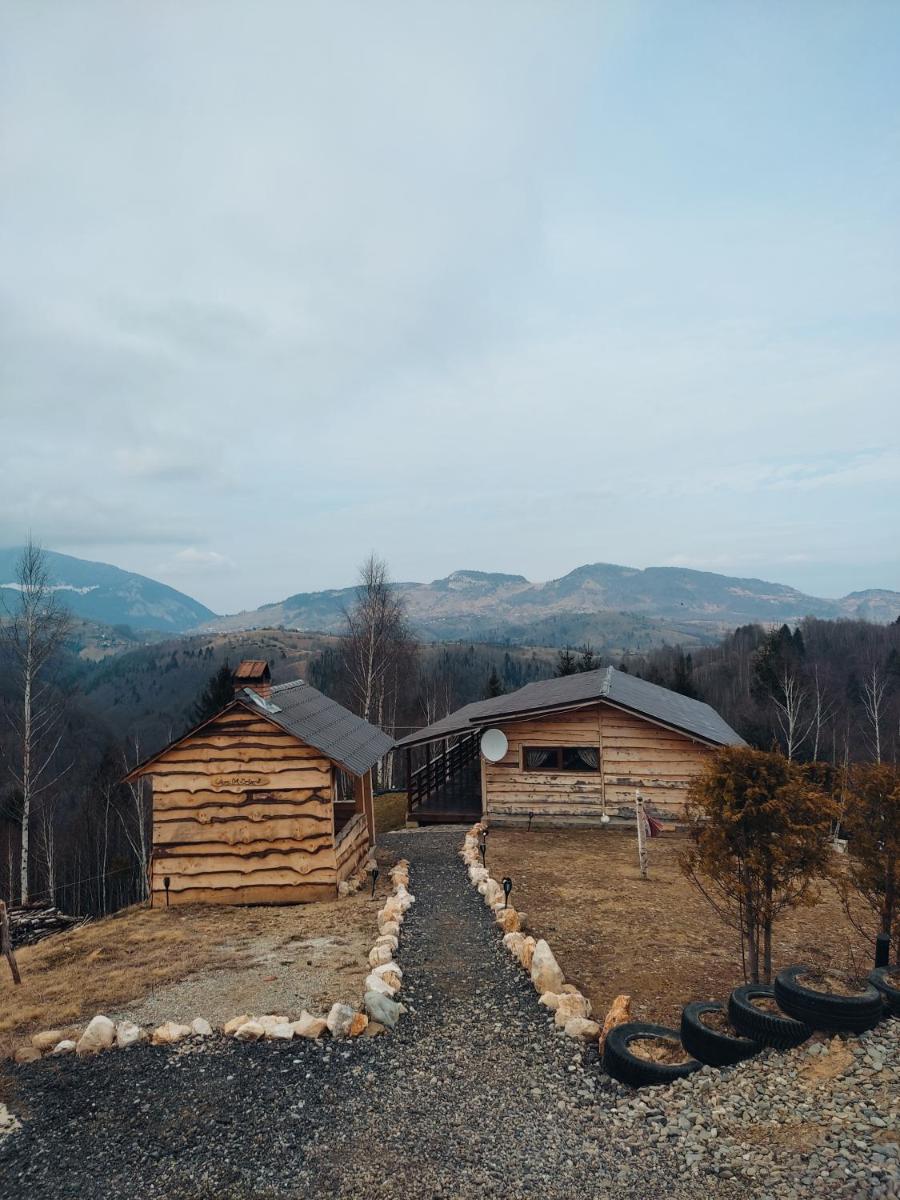 Cabana doi mesteceni - Housity