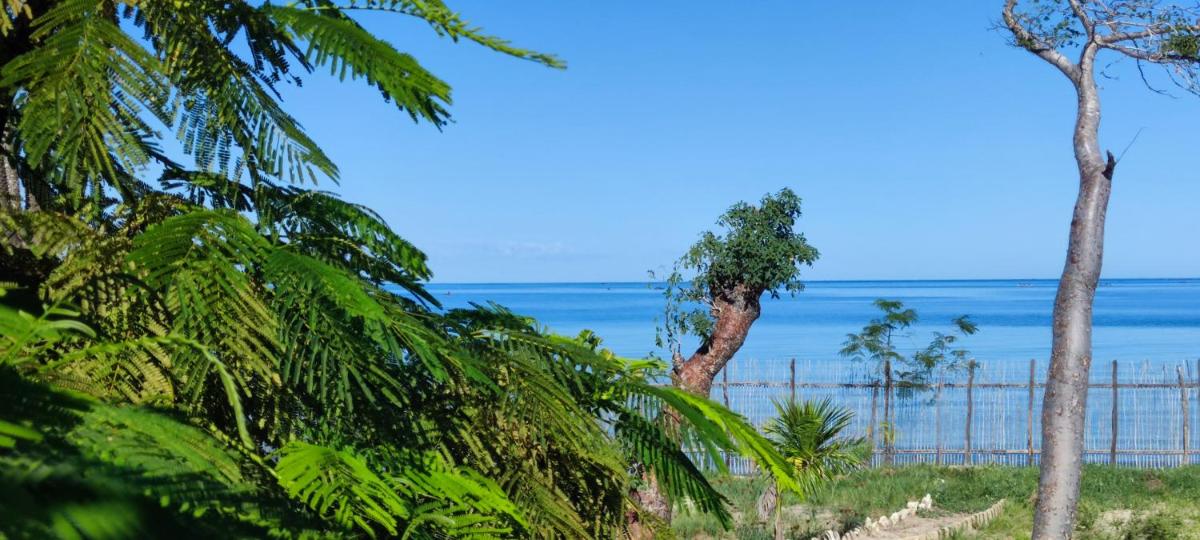 Villa Nature - Housity