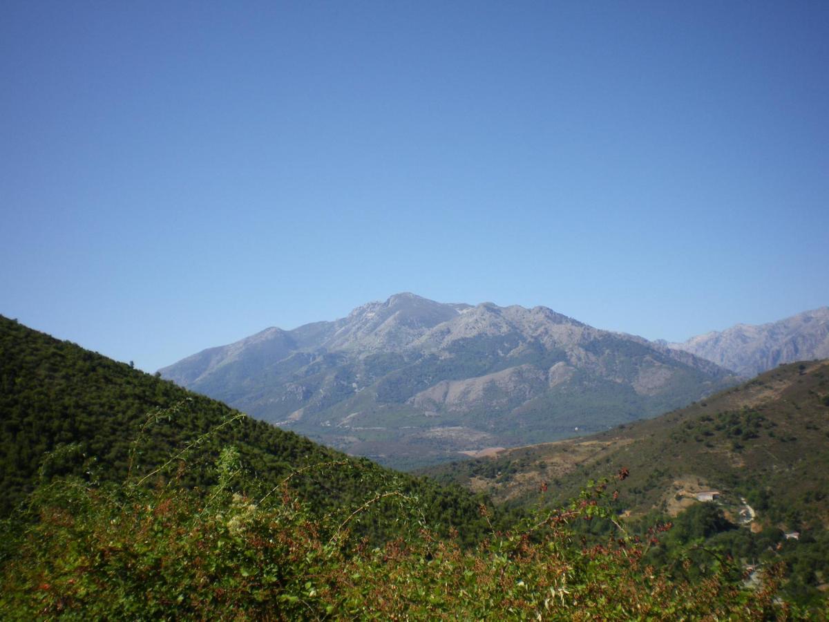Gîte Aghja suttana l'incantu - Housity