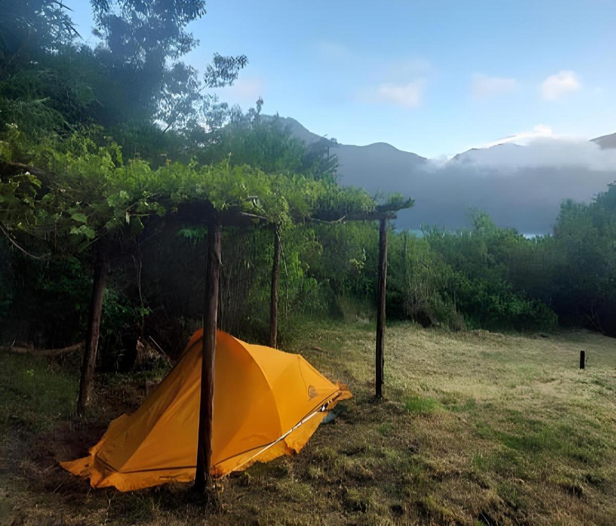 Potentia Tent - Housity