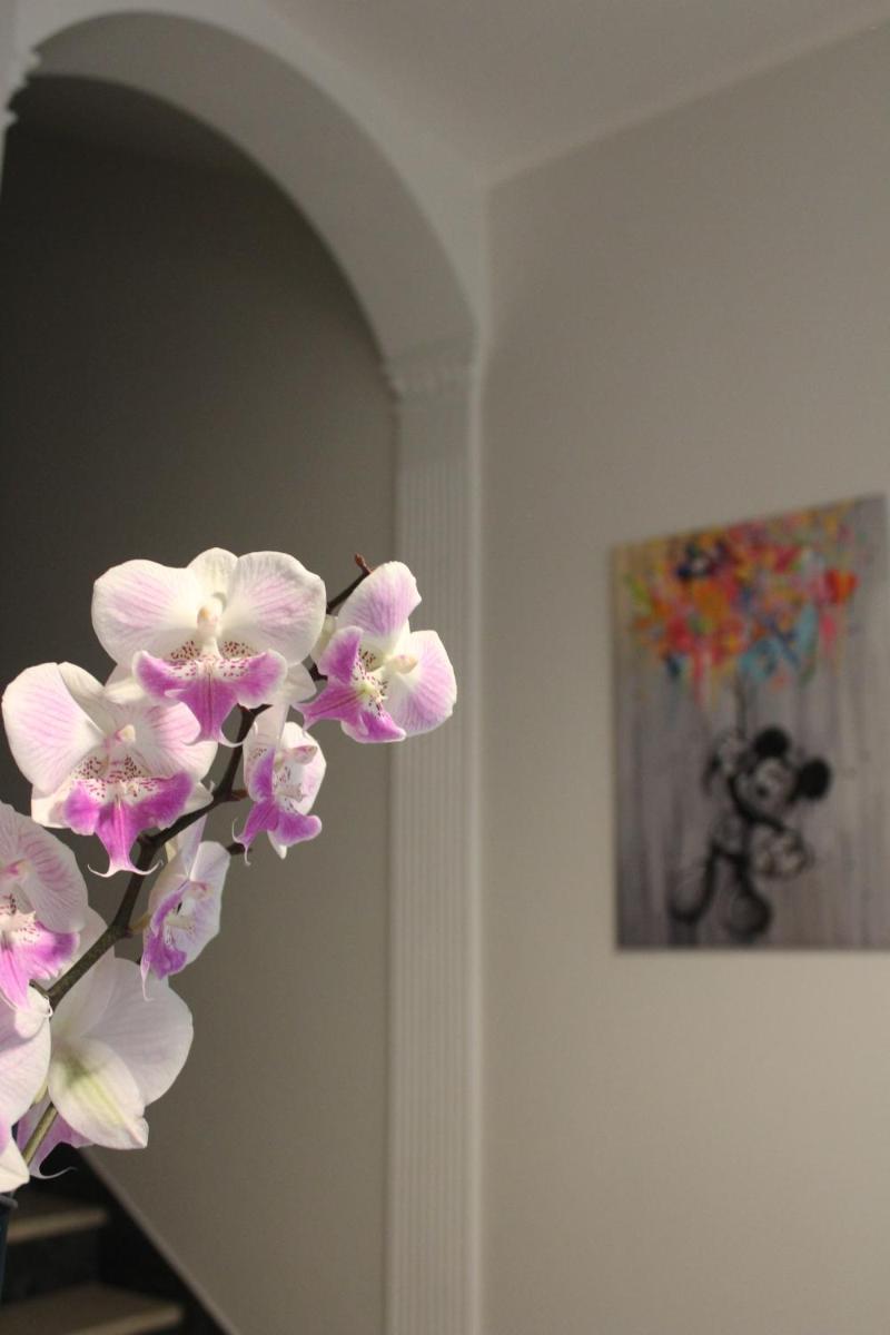 Casa Elvira - Housity