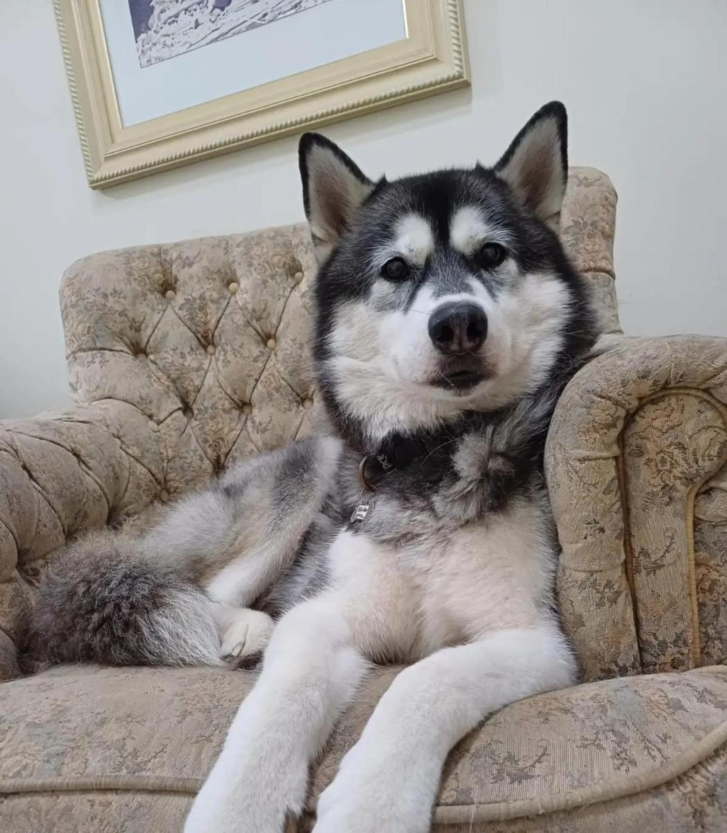 CORTESE HOTEL - Housity