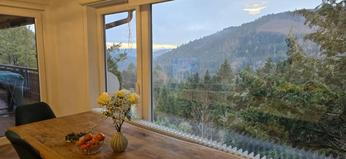 Wohnung im Schwarzwald mit Panorama Blick - Housity