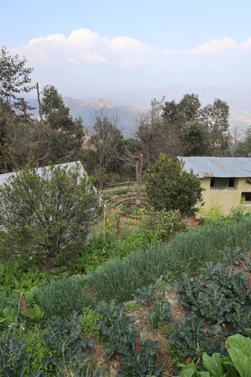 Hasera Organic Farmstay: Farm to Table & Mountain View - Housity