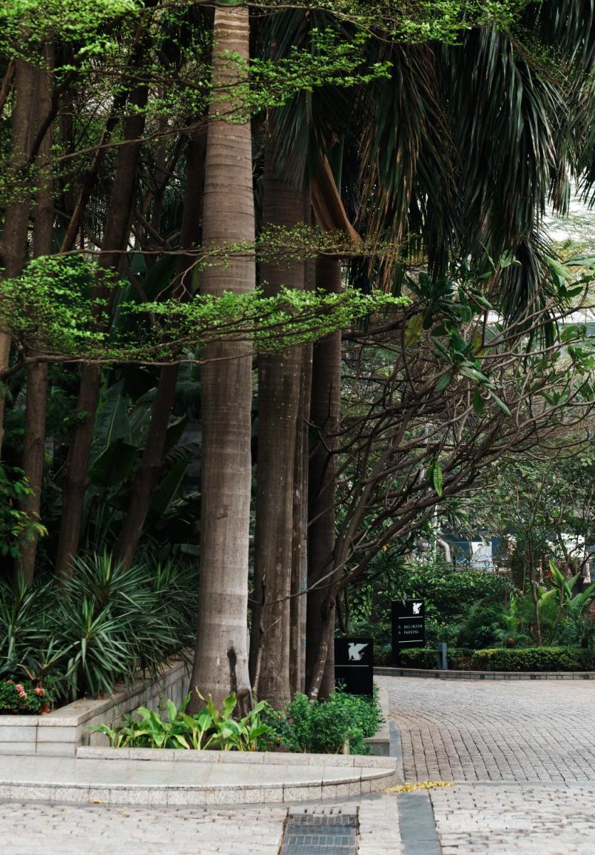 a group of palm trees in a park at JW Marriott Hotel Kolkata in Kolkata