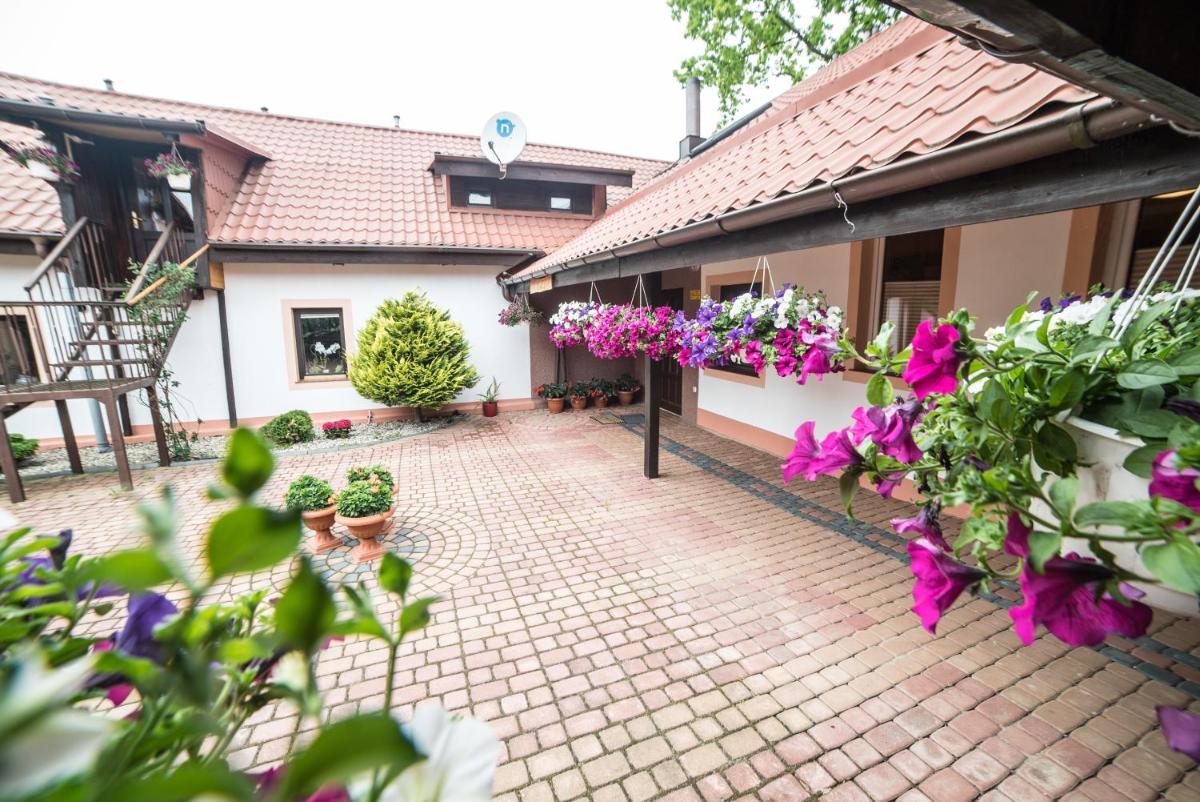 Gościniec Czapla - Housity