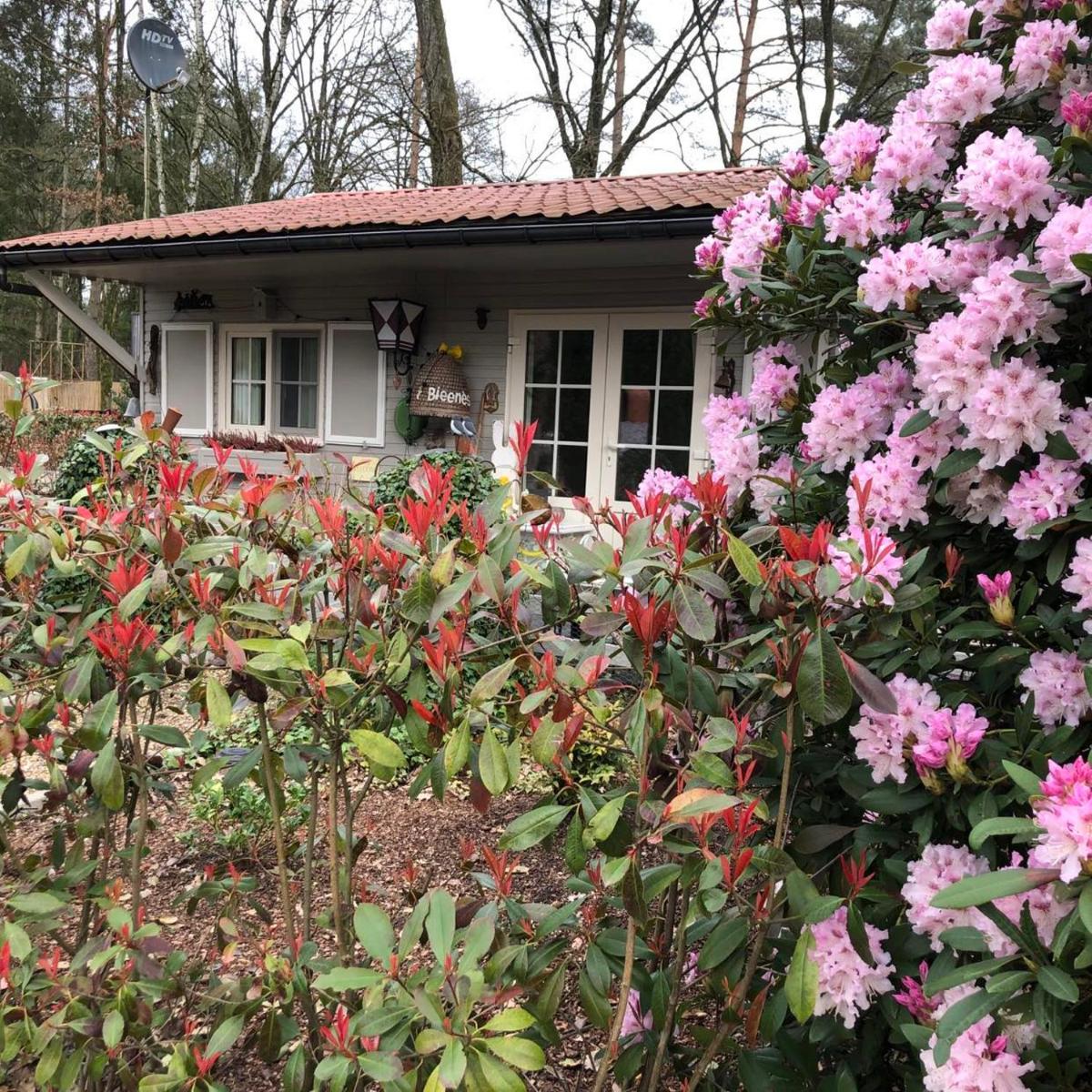 Chalet 2Relax - Housity
