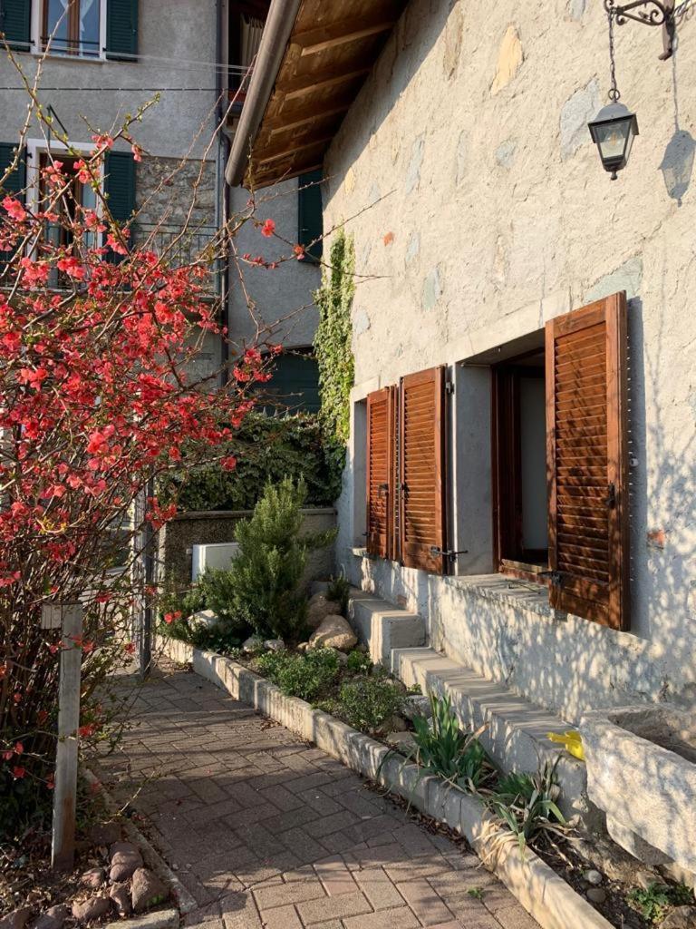 Nido di Rongio - Housity