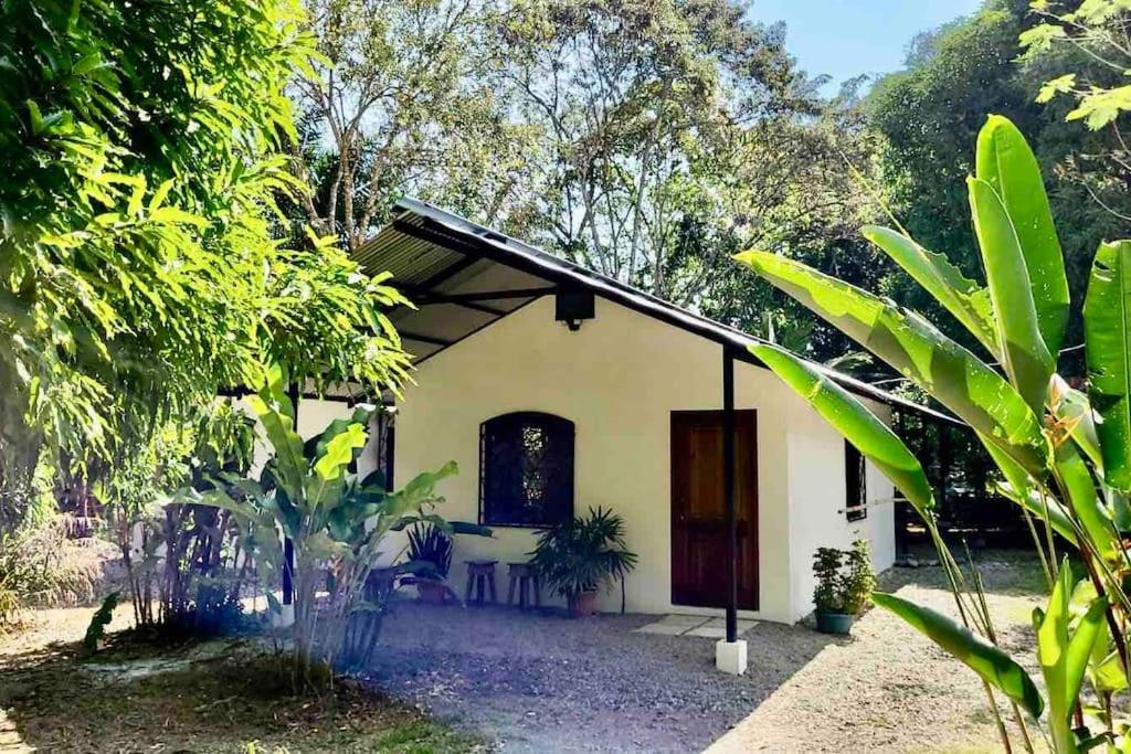 House 400 meters from the Golfo Dulce beach - Housity
