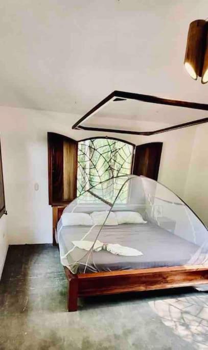House 400 meters from the Golfo Dulce beach - Housity