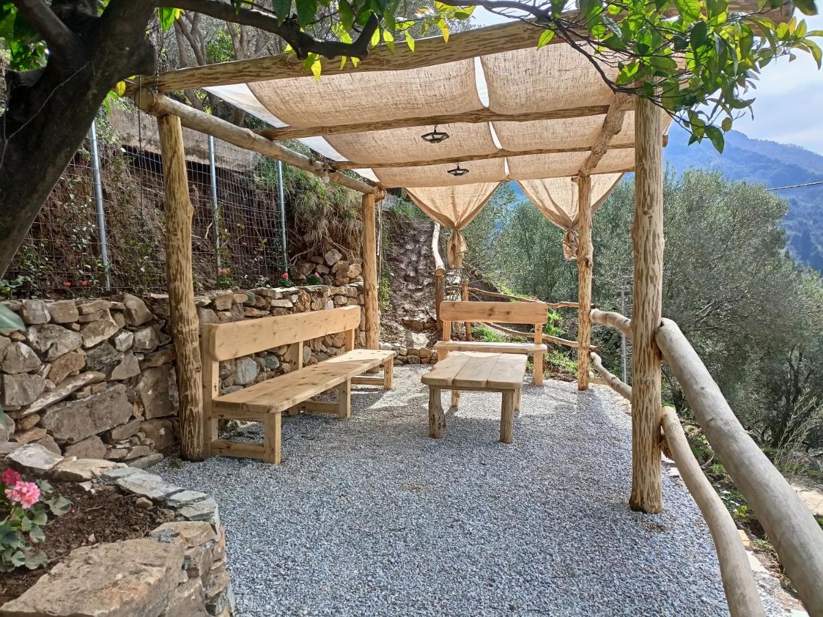 Ελαιώνας - Solar Energy House - Housity