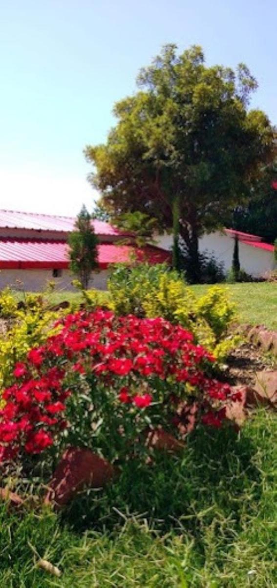 The Village Retreat Resort , Guptkashi - Housity