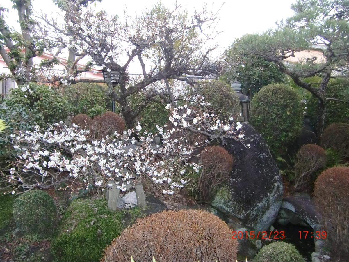 Japanese Traditional House with beautiful garden. - Housity