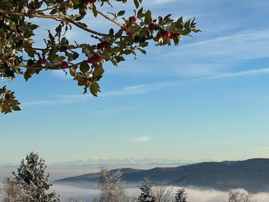 Un coin de montagne - Housity
