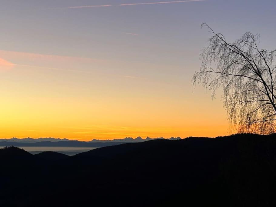 Un coin de montagne - Housity