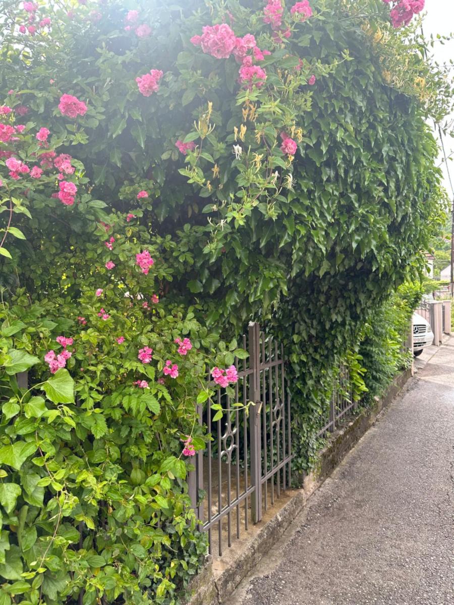 Apartman Lili - Housity