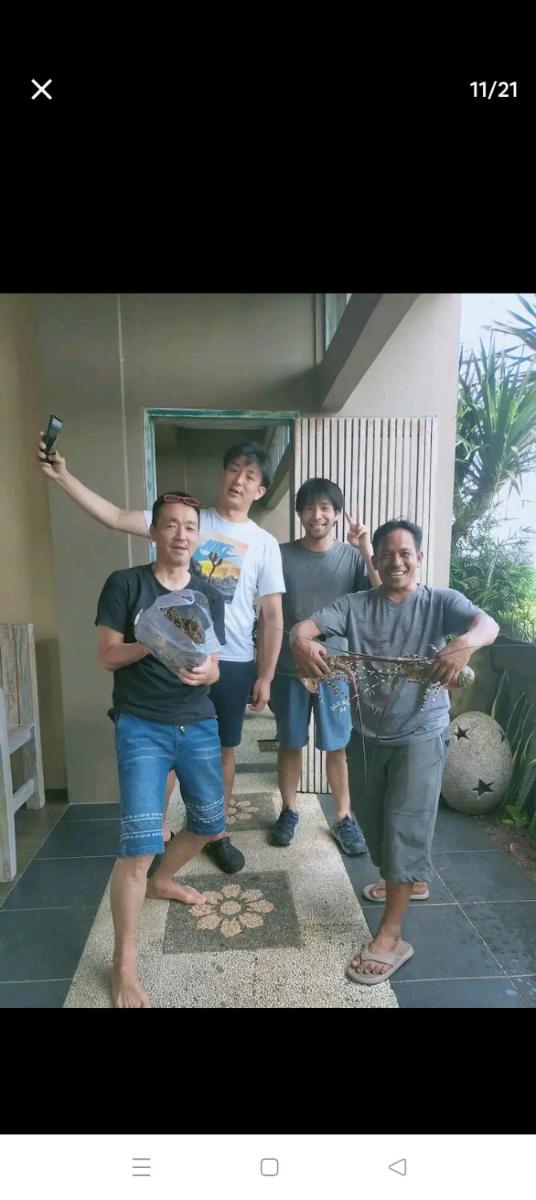 Medewi Sunset Terrace - Housity