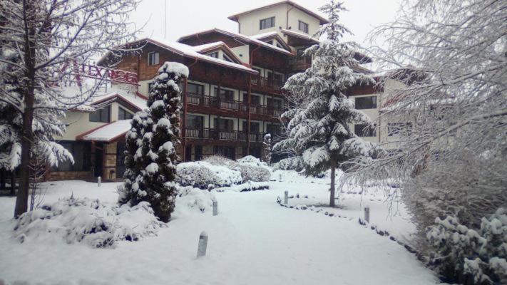 Hotel Alexander 1 bedroom Apartment - Housity