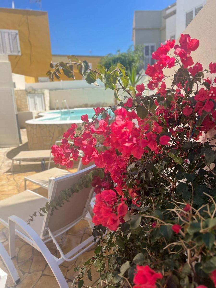 Hidden Paradise - Housity