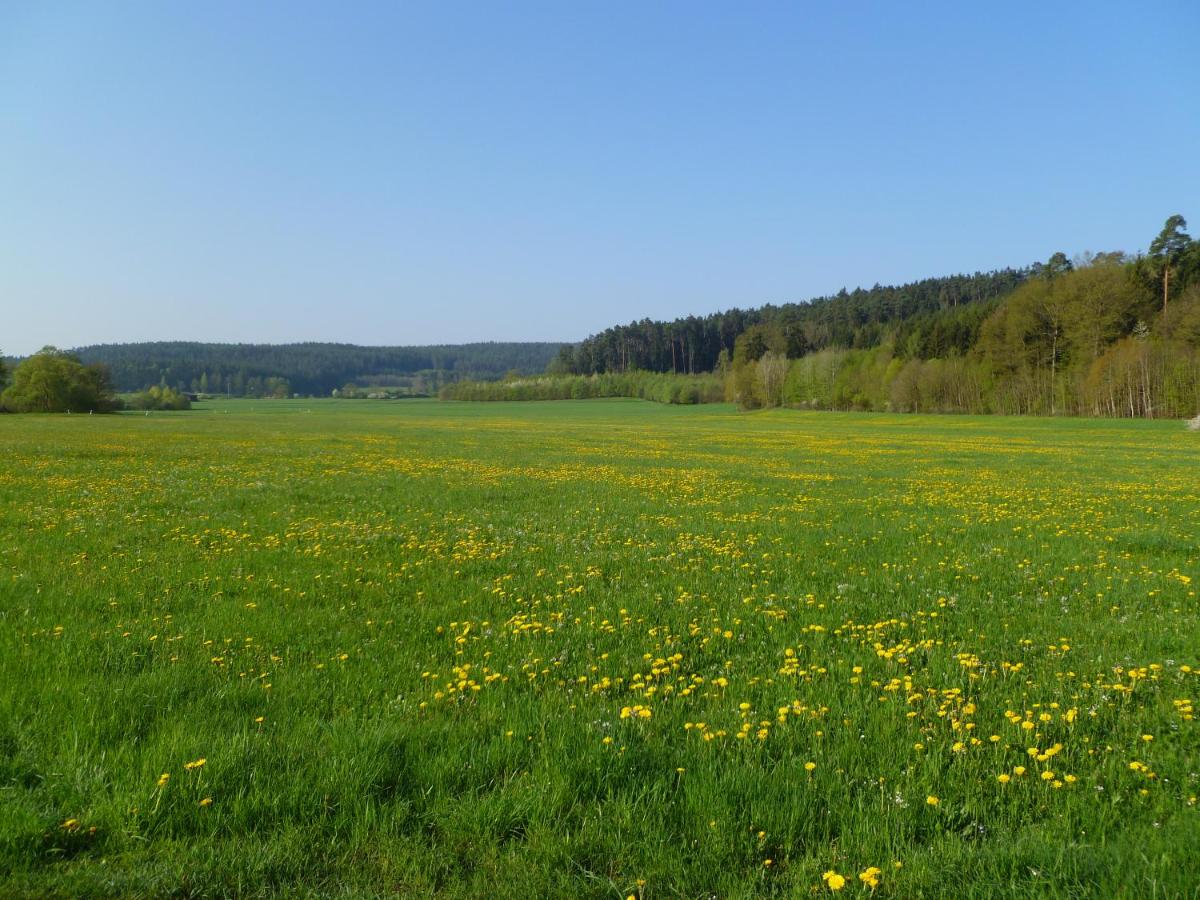 FeWo Ulbrich Langenstadt - Housity