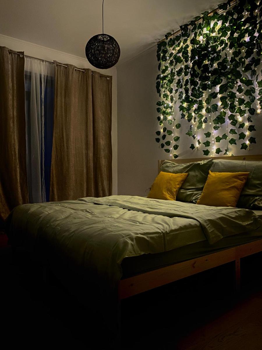 Dekan Forest Apartments Timisoara - Housity