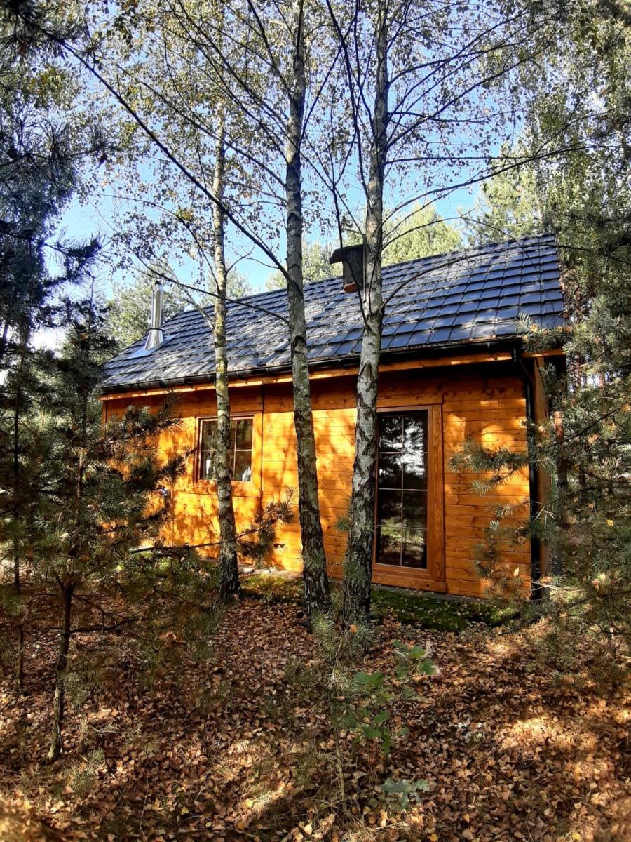 Ajurweda na Jurze Agroturystyka - Housity