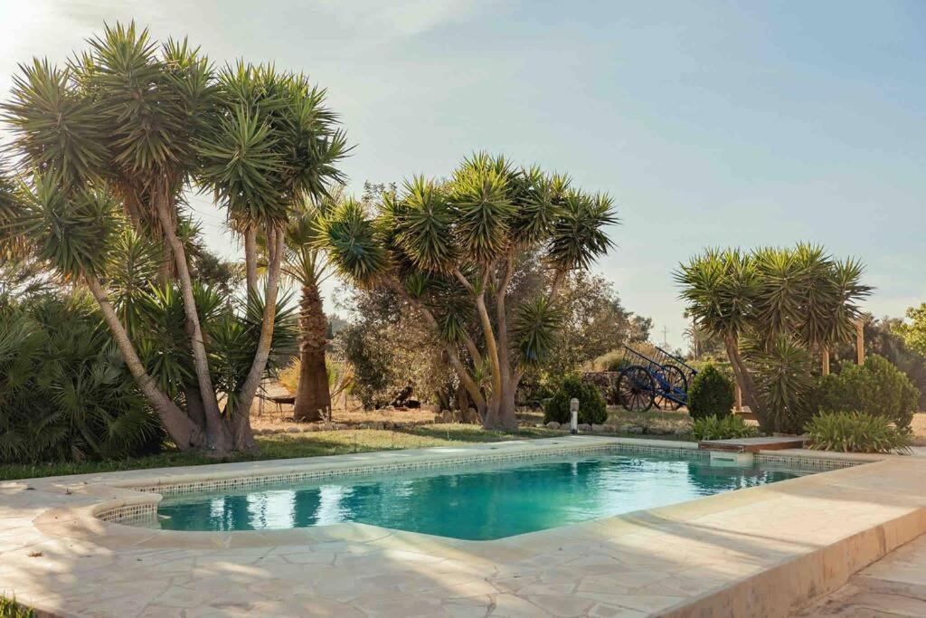 Charming Ibiza villa - Housity