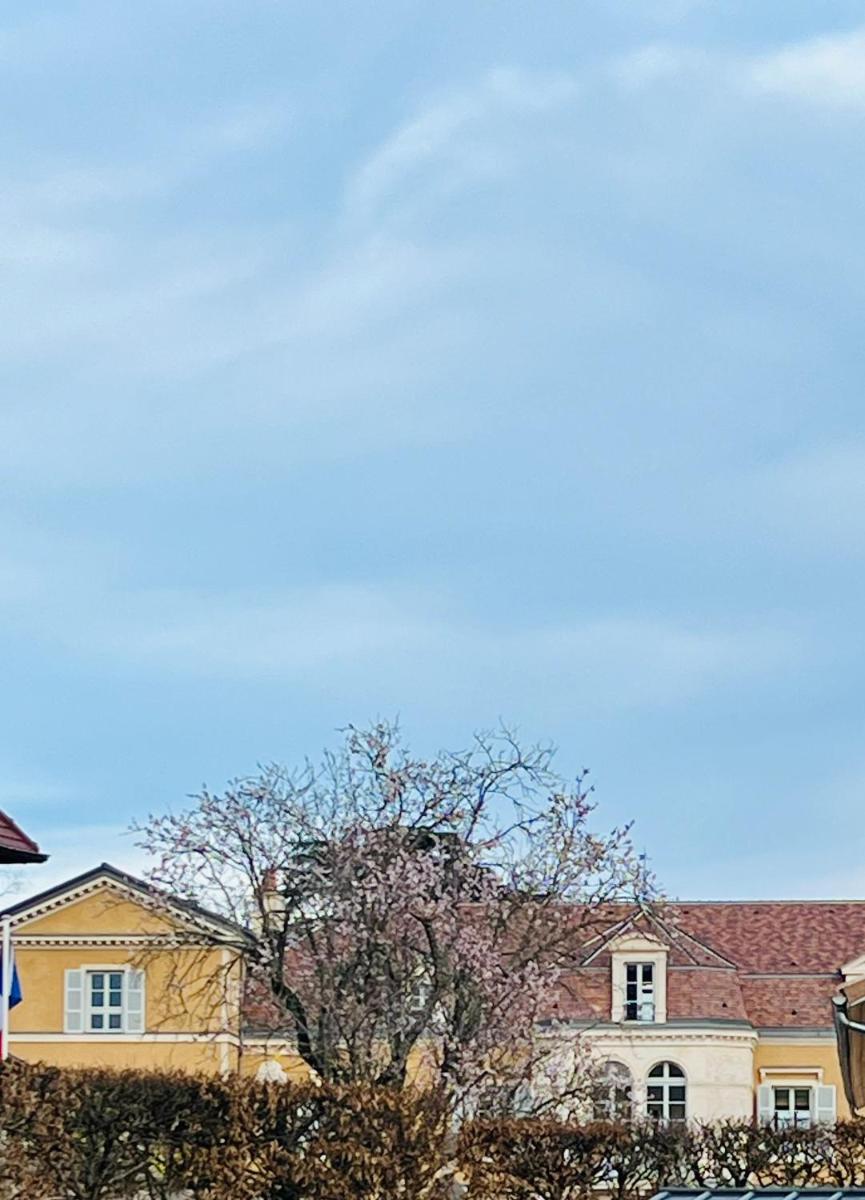 Chez Pierrette à deux pas du Château de Meursault - Housity