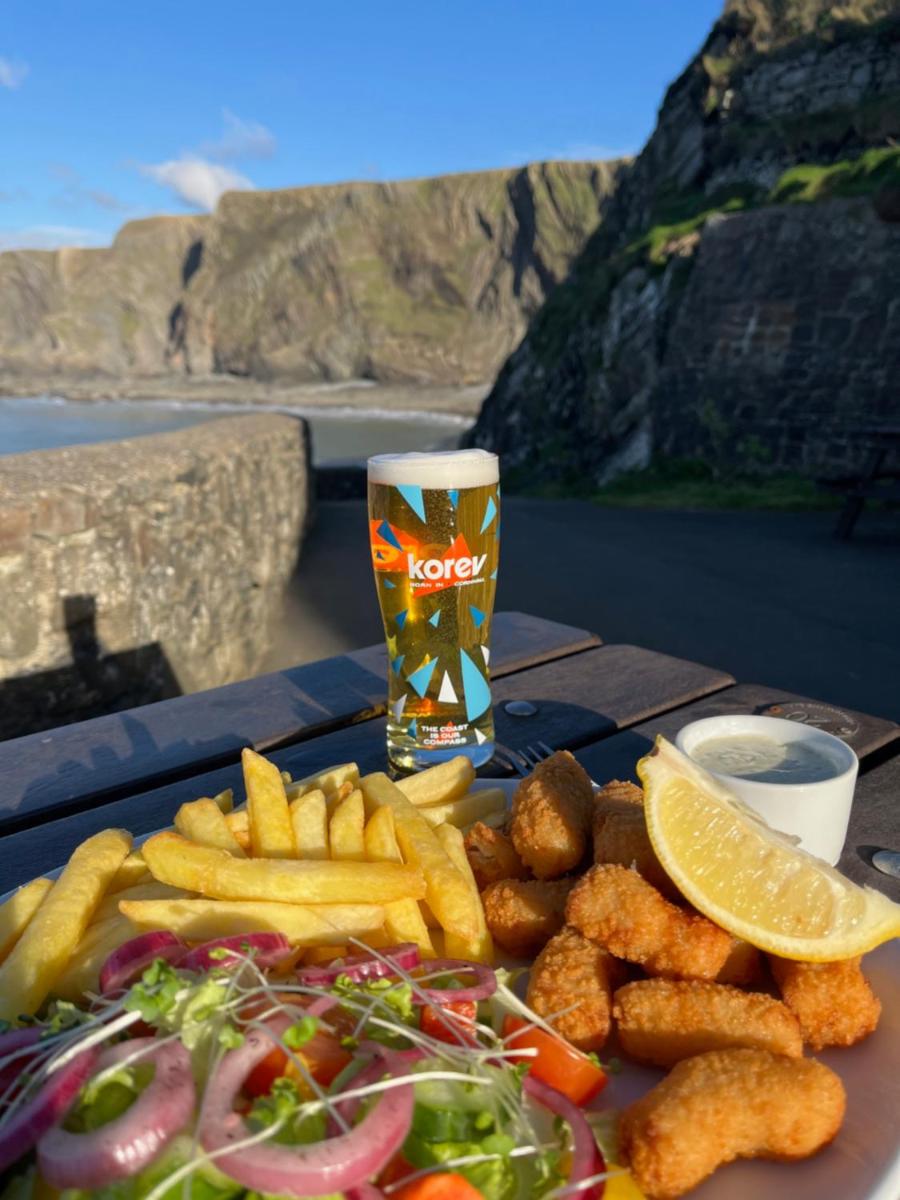 Hartland Quay Hotel - Housity