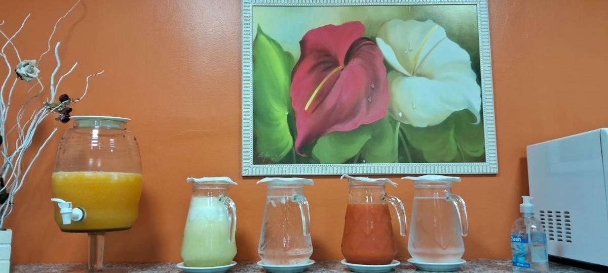 Hotel Orleans - Housity