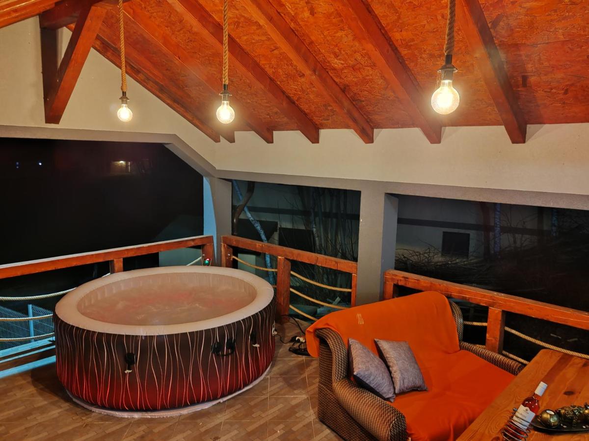 Vila Dimitrijevic Lisine - Housity
