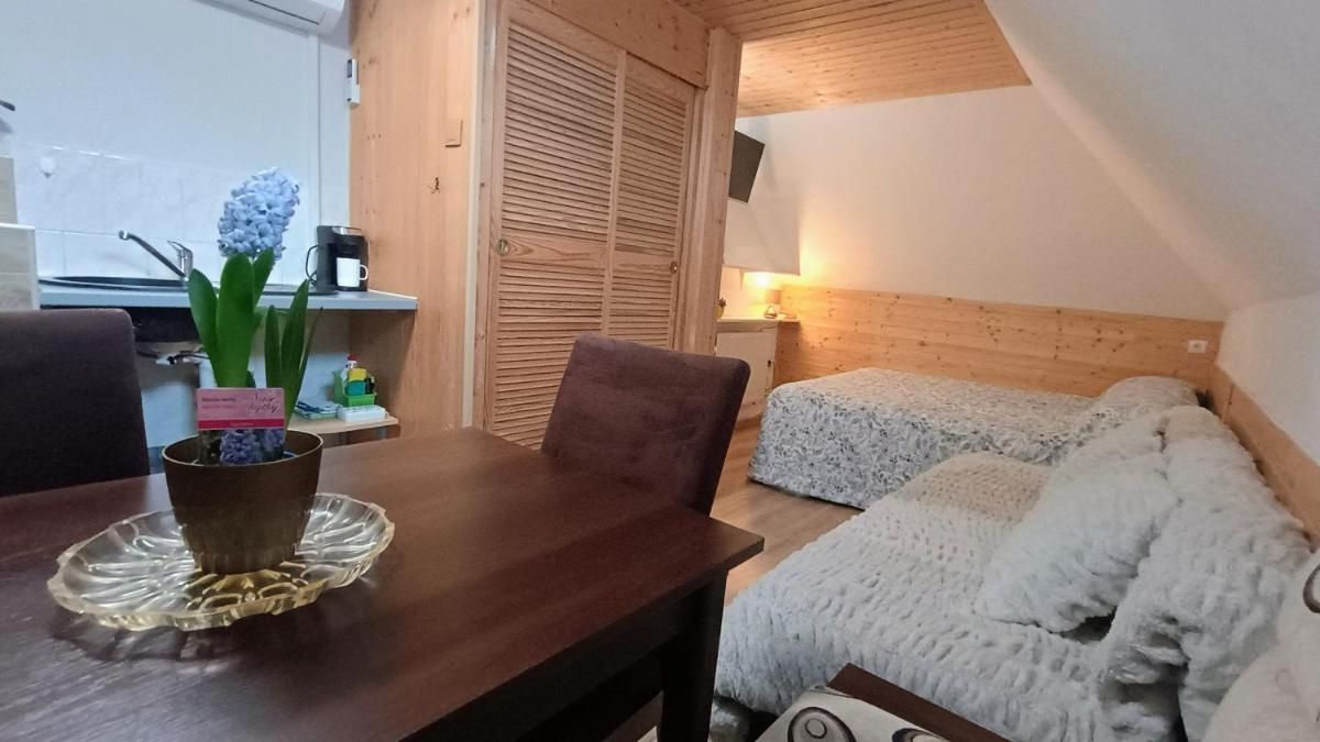 Rodinný Penzion Karin - Housity