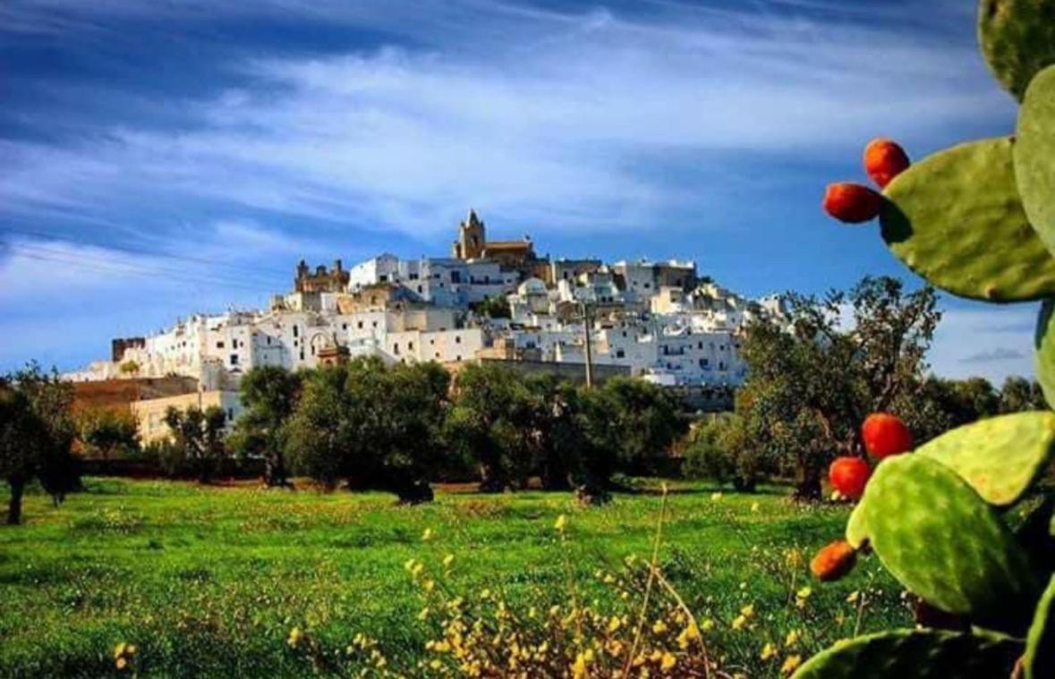 AMara typical stone house - Ostuni Centro - Hizvo