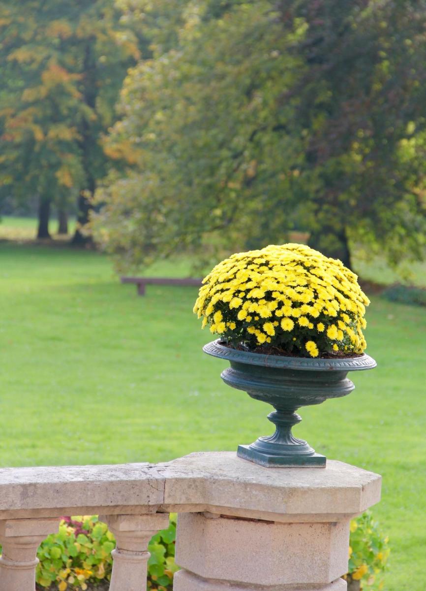 Jardin de l'établissement Château des Monthairons Hôtel Restaurant GastroMaison Spa privatif