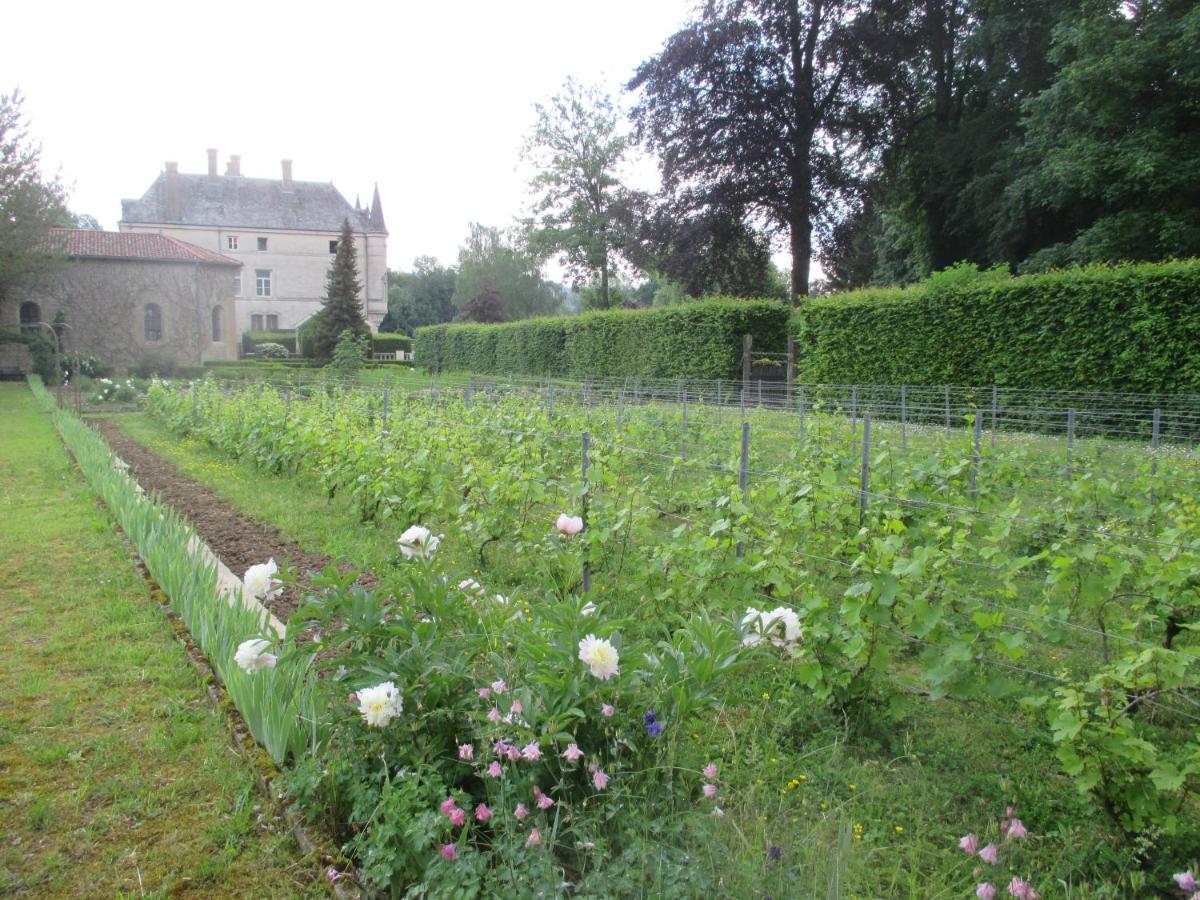Jardin de l'établissement Château des Monthairons Hôtel Restaurant GastroMaison Spa privatif