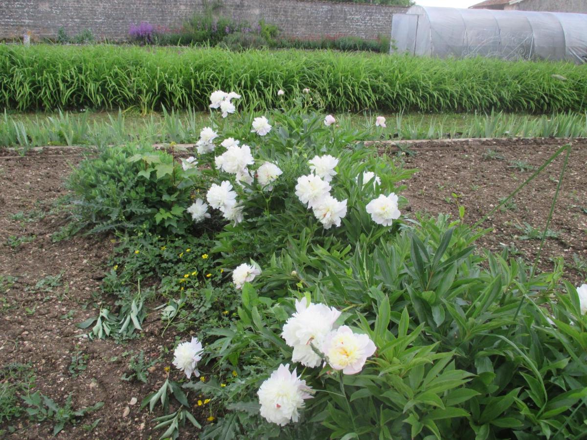 Jardin de l'établissement Château des Monthairons Hôtel Restaurant GastroMaison Spa privatif