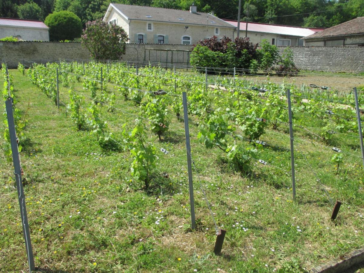 Jardin de l'établissement Château des Monthairons Hôtel Restaurant GastroMaison Spa privatif