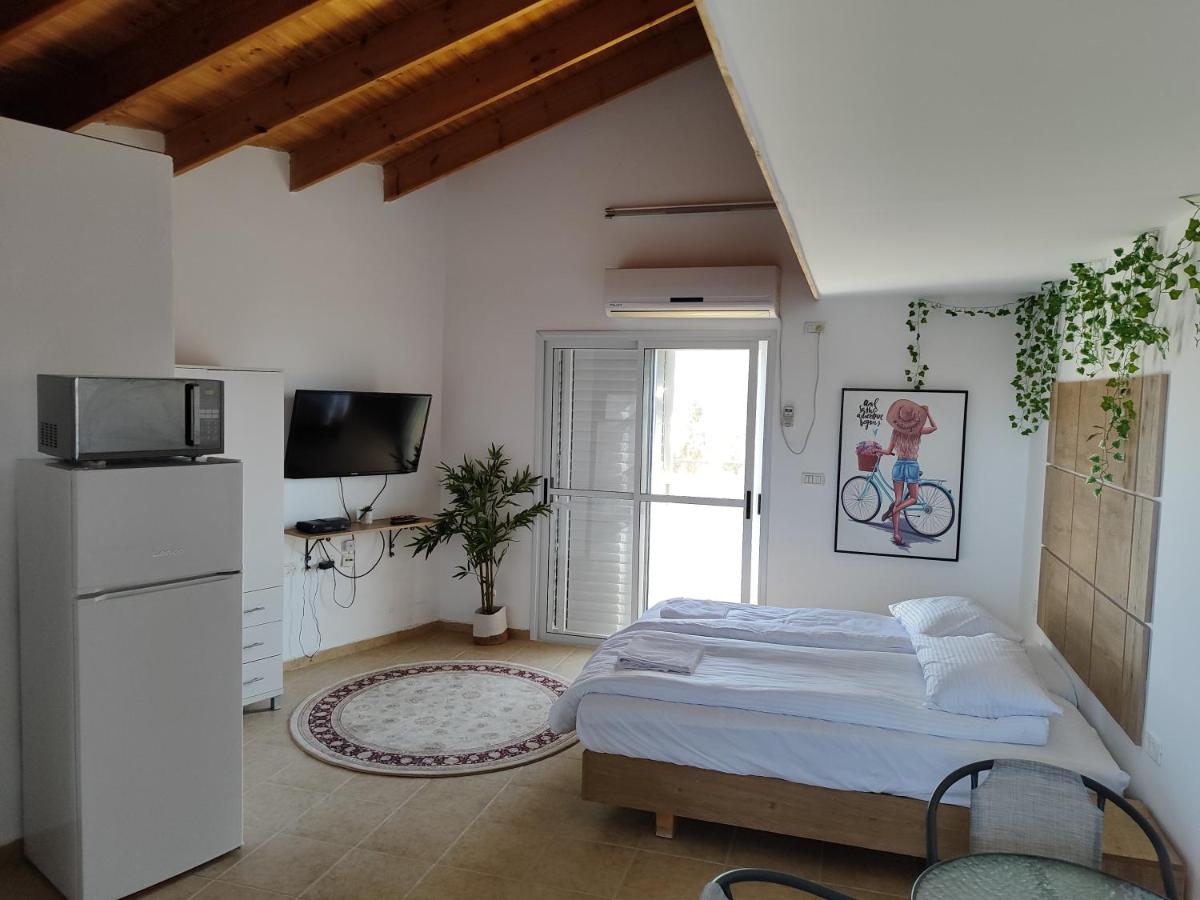 Adi studio - Housity