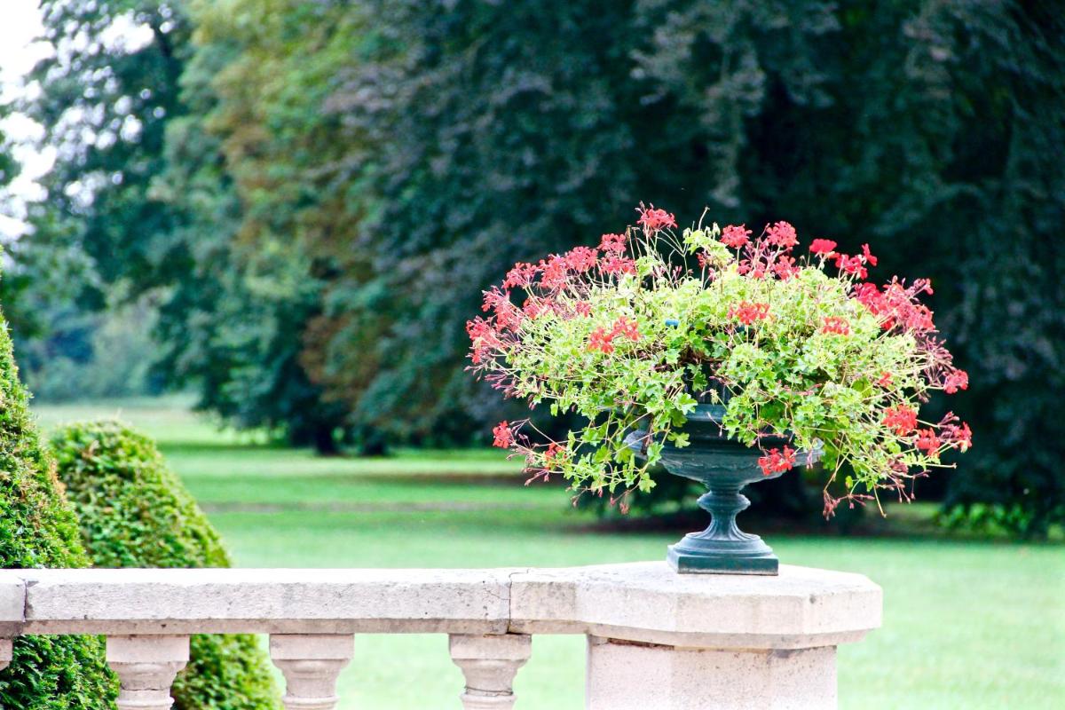 Jardin de l'établissement Château des Monthairons Hôtel Restaurant GastroMaison Spa privatif
