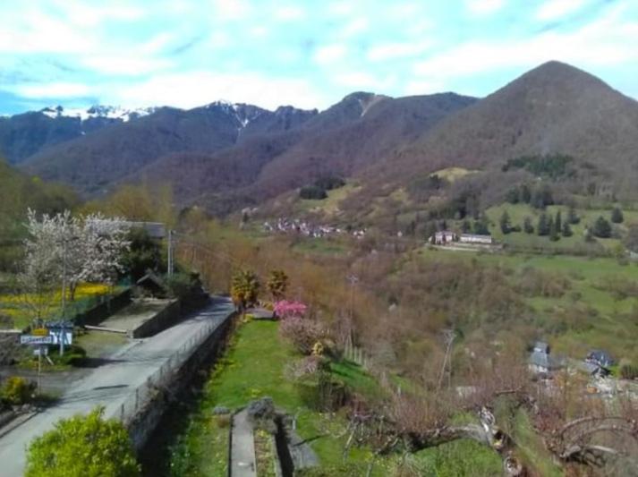 ''Mon Chez Moi'' - Housity