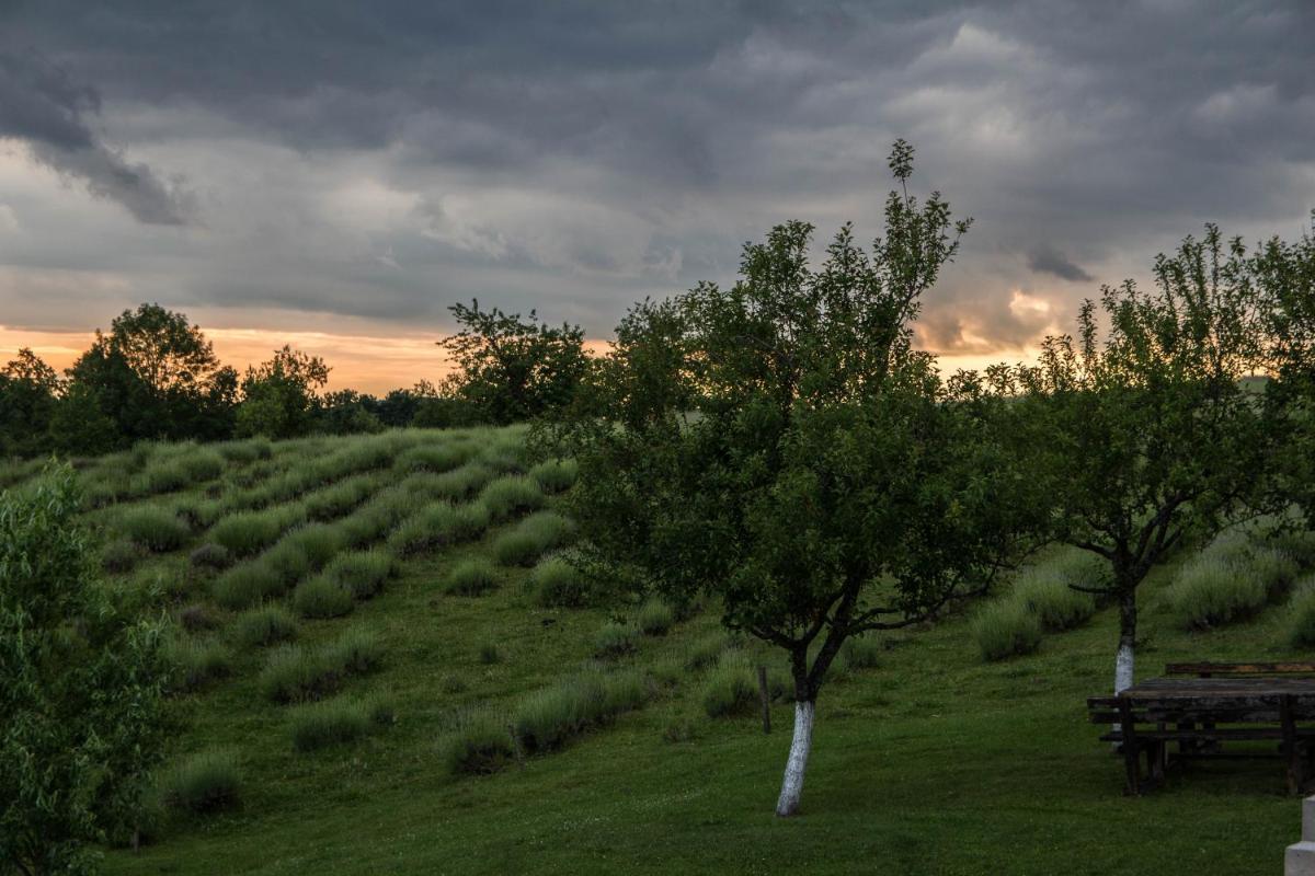 Lavanda farm apartmani - Housity