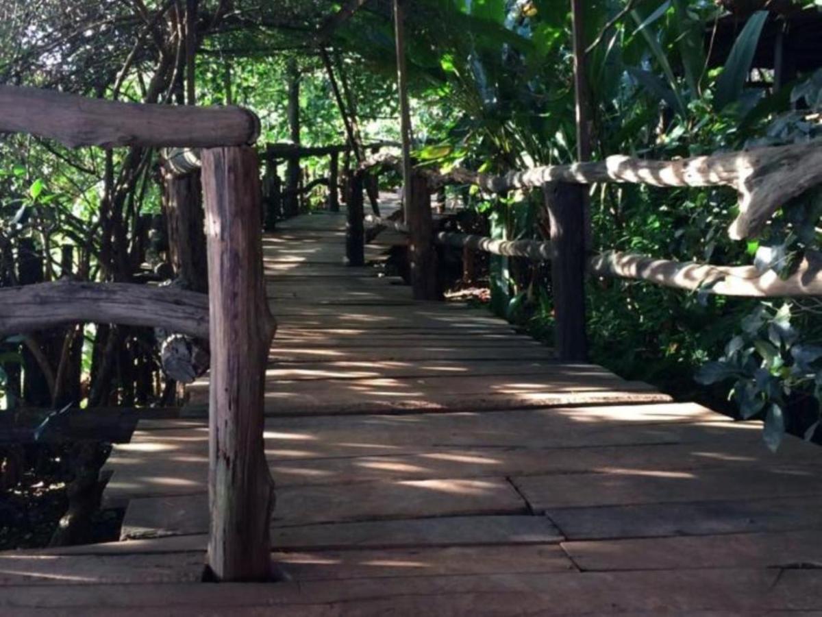 Tree Top Eco-Lodge - Housity