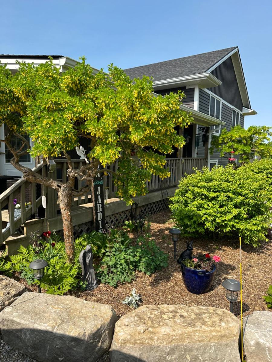 MonJardin Bed and Breakfast - Housity