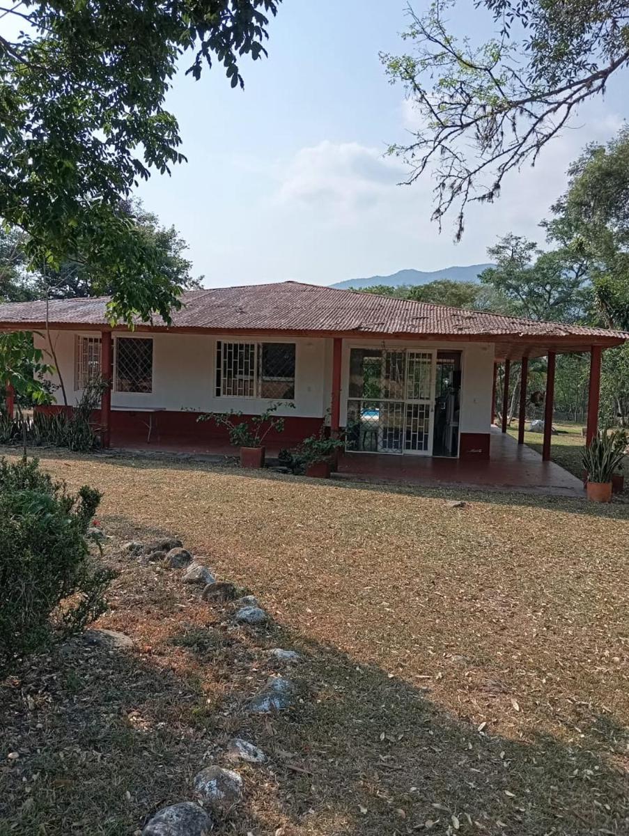 Llanitos de Aurora - Housity