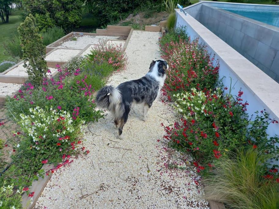 Les Palissières - Chambres d'Hôtes - Housity
