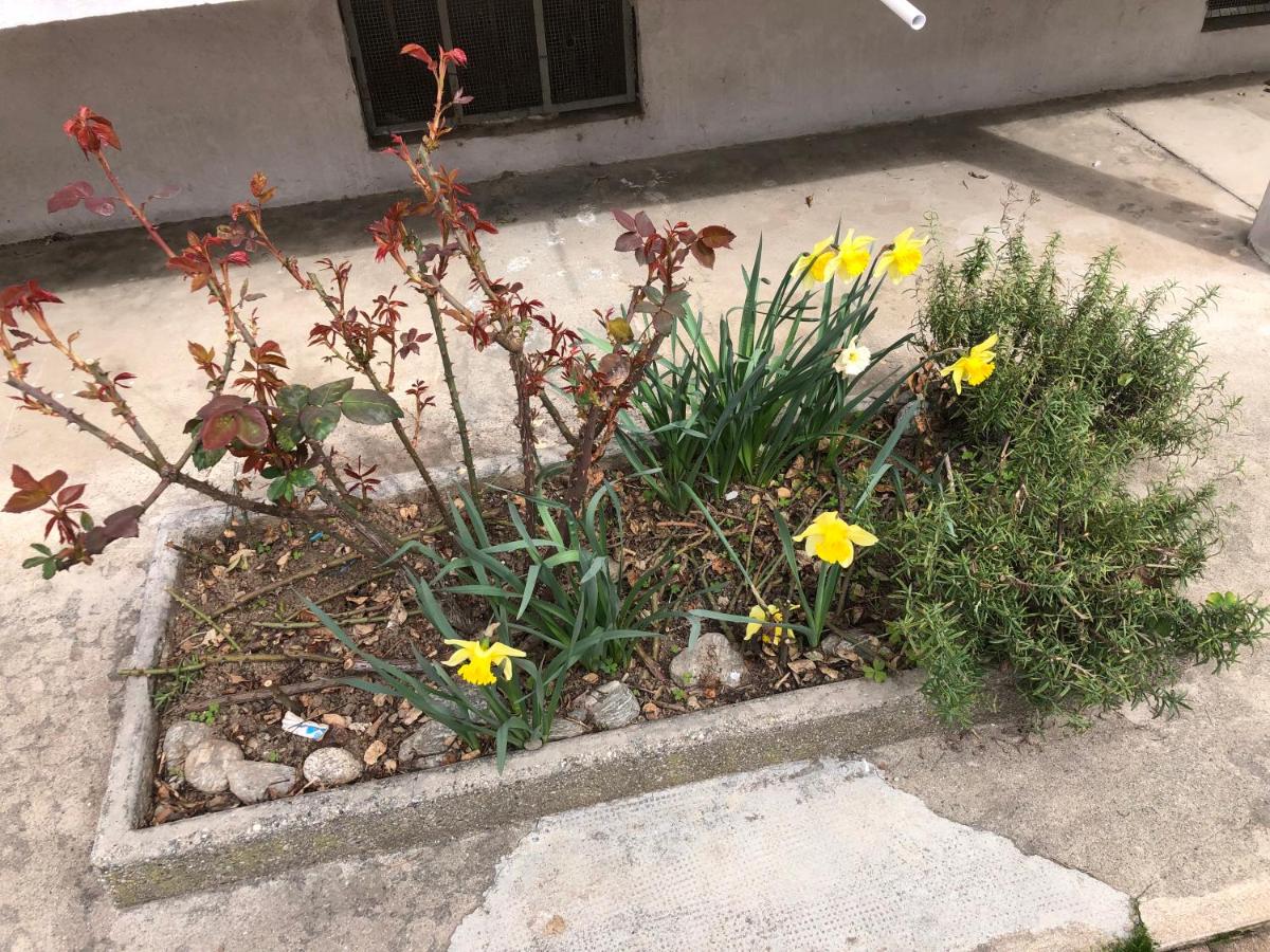 House vittone venaria reale 2 - Housity