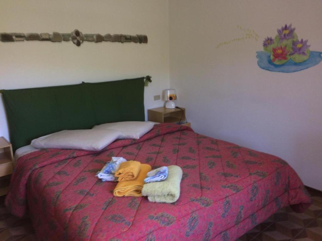 Nicoletta Spirito del Tibet - Housity