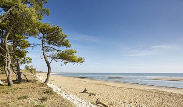 BUD HOUSE MAGNIFIQUE VILLA PROCHE DE LA MER - Housity