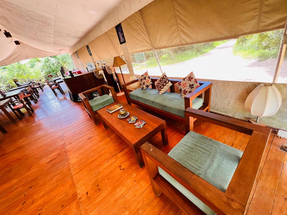 Yala Hotel Lion - Housity